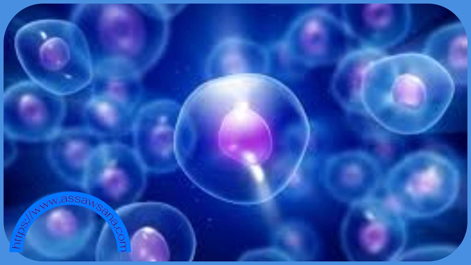تطوير خلايا عالية الكفاءة لمعالجة السرطان