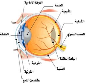 أول عملية من نوعها في الأردن لعلاج سرطان العين