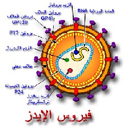 3 اصابات جديدة بمرض الايدز في الاردن