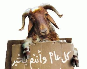 مصريون يتحايلون على الغلاء بـاستئجار خروف العيد